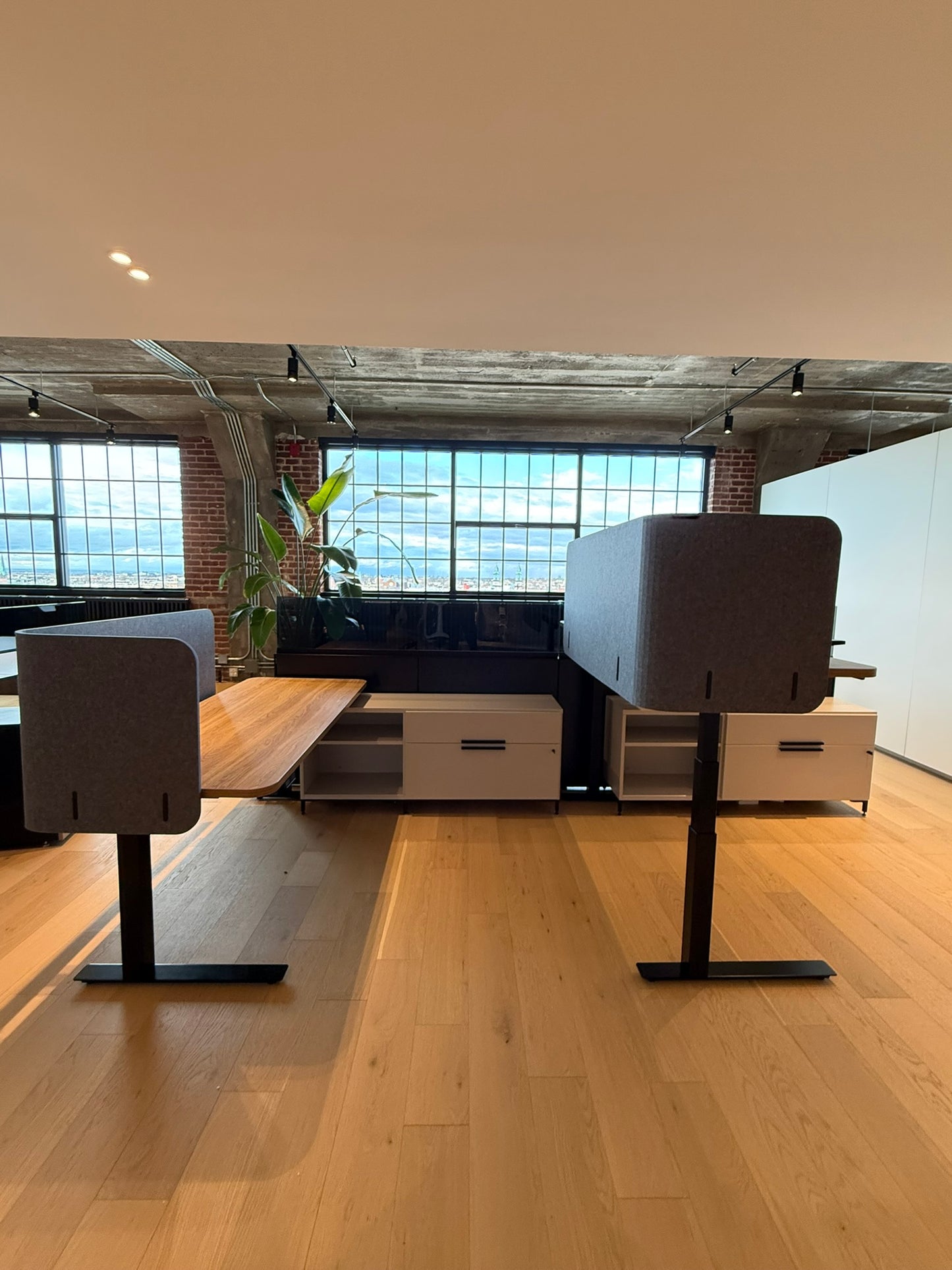 Kit de 4 postes de travail avec tables ajustables - Dividends de Knoll