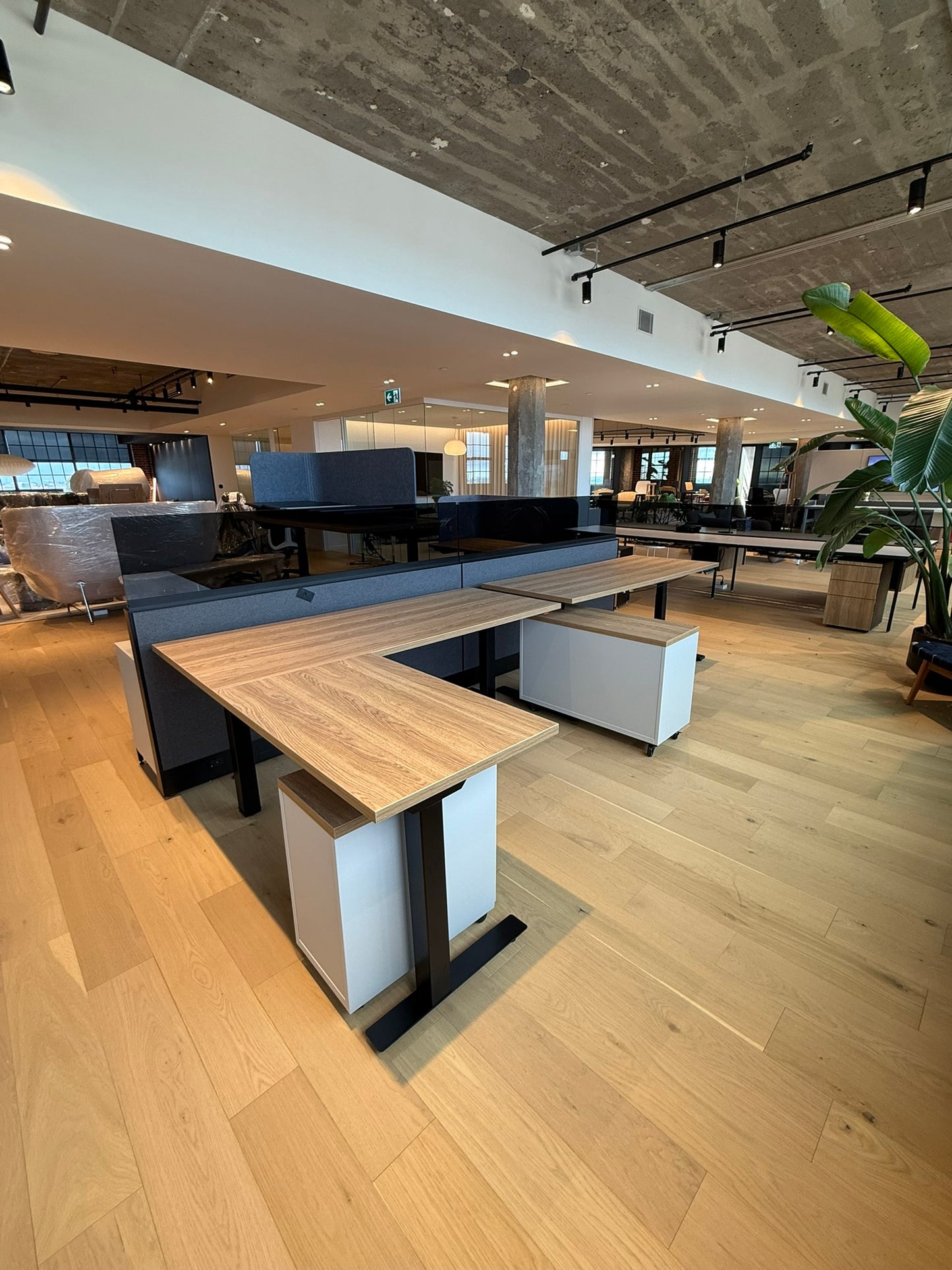 Kit de 4 postes de travail avec tables ajustables - Dividends de Knoll